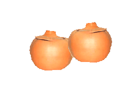 E:\INTERNET_AGENCY\LIVE\*****\WWW\images\catalog\p14.gif