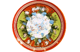 E:\INTERNET_AGENCY\LIVE\*****\WWW\images\catalog\p55.gif