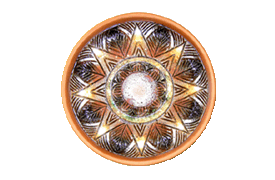 E:\INTERNET_AGENCY\LIVE\*****\WWW\images\catalog\185.gif