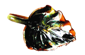 E:\INTERNET_AGENCY\LIVE\*****\WWW\images\catalog\a48.gif