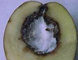 http://*****/img/req/image008.gif