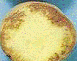 http://*****/img/req/image010.gif