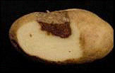 http://*****/img/req/image011.gif
