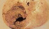 http://*****/img/req/image012.gif