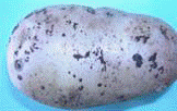 http://*****/img/req/image013.gif