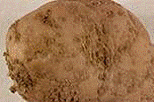 http://*****/img/req/image014.gif