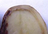 http://*****/img/req/image016.gif