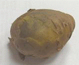 http://*****/img/req/image017.gif