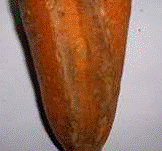 http://*****/img/req/image018.gif