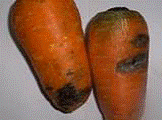 http://*****/img/req/image025.gif