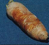 http://*****/img/req/image026.gif