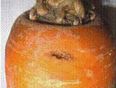 http://*****/img/req/image028.gif