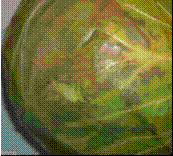 http://*****/img/req/image033.gif