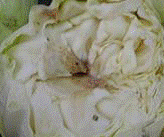 http://*****/img/req/image036.gif