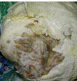http://*****/img/req/image037.gif