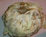 http://*****/img/req/image039.gif