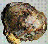 http://*****/img/req/image040.gif