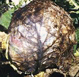 http://*****/img/req/image041.gif