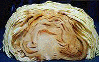 http://*****/img/req/image042.gif