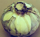 http://*****/img/req/image045.gif