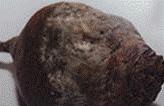 http://*****/img/req/image048.gif