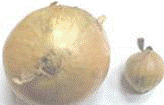 http://*****/img/req/image054.gif