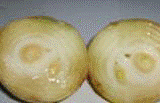 http://*****/img/req/image057.gif