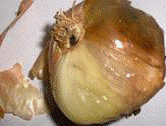 http://*****/img/req/image058.gif