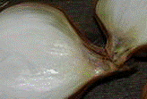 http://*****/img/req/image060.gif