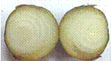 http://*****/img/req/image062.gif
