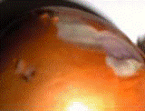 http://*****/img/req/image064.gif