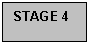 �������: STAGE 4 