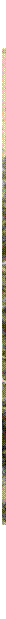 �������: 







































































