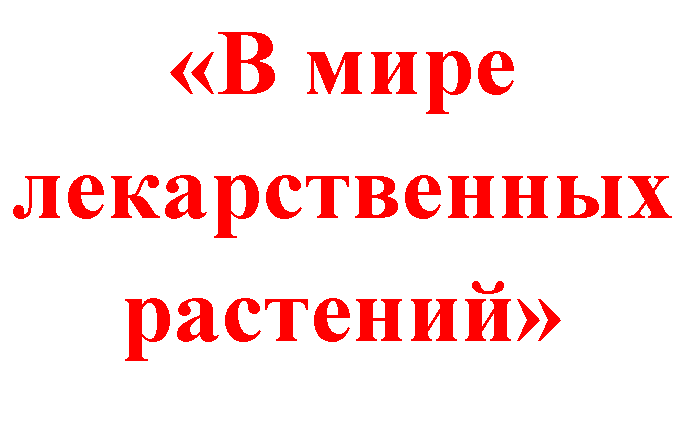 �������: