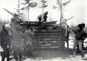 V13