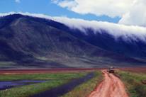 Safari in Ngorongoro Crater by Fernando Quevedo (SERENGETIMAN).