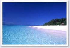 http://www.tulipweb.com/africa_honeymoon/honeymoon/mnemba5.jpg