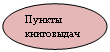 Овал: Пункты книговыдачи