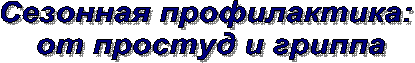 Сезонная профилактика:
от простуд и гриппа