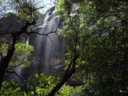 0524 Blue Mountains, Wentworth Falls