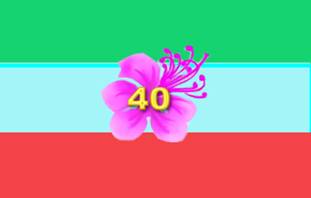�������� 25 �� 160