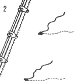 2. ���������� �� ����������� ������� ����������� �����; ����� ������� �������� ����.