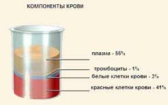 C:\Documents and Settings\User\������� ����\f_k2-9.jpg