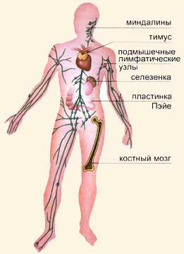 C:\Documents and Settings\User\������� ����\f_k2-7.jpg