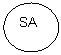 Овал: SA