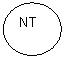 Овал: NT