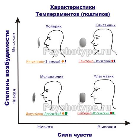 Общая характеристика темпераментов