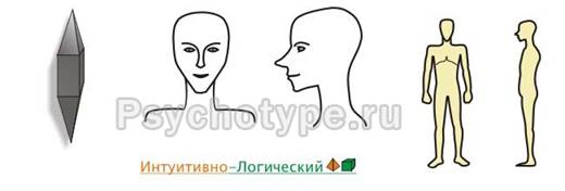 Меланхолик, ИЛ-подтип
