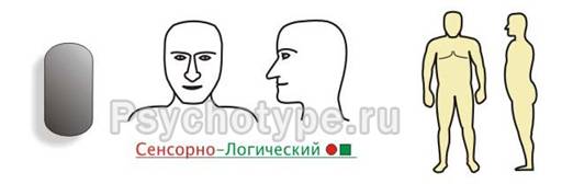 Флегматик, СЛ - подтип