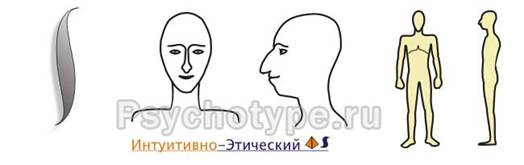 Холерик, ИЭ-подтип